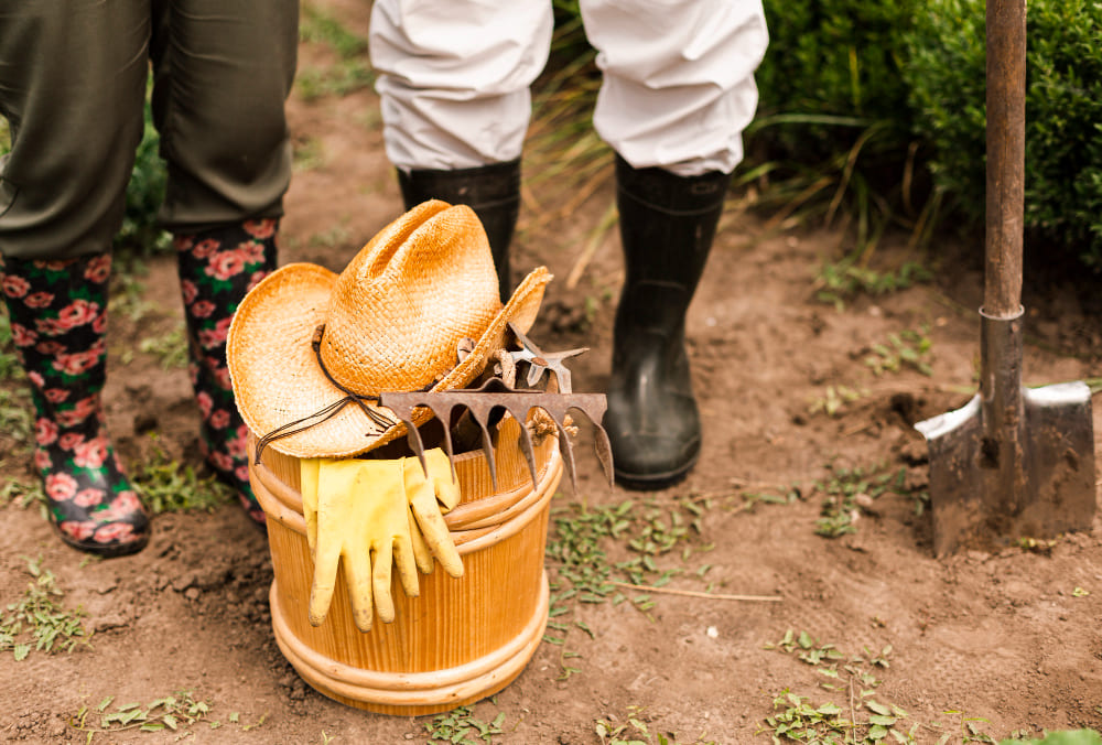 compostage-jardinage-erreurs